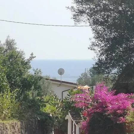 Cilento Mare, Bellissima Con Ampio Giardino *