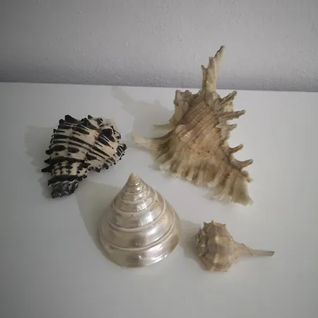 Cilento Mare, Bellissima Con Ampio Giardino *